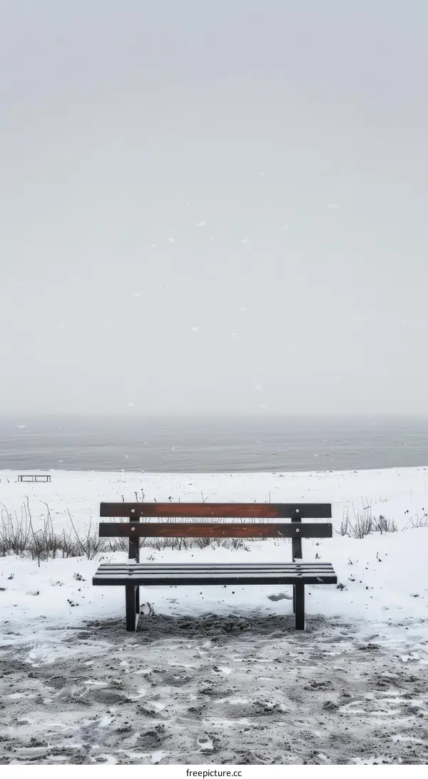 Lonely bench on the beach in winter