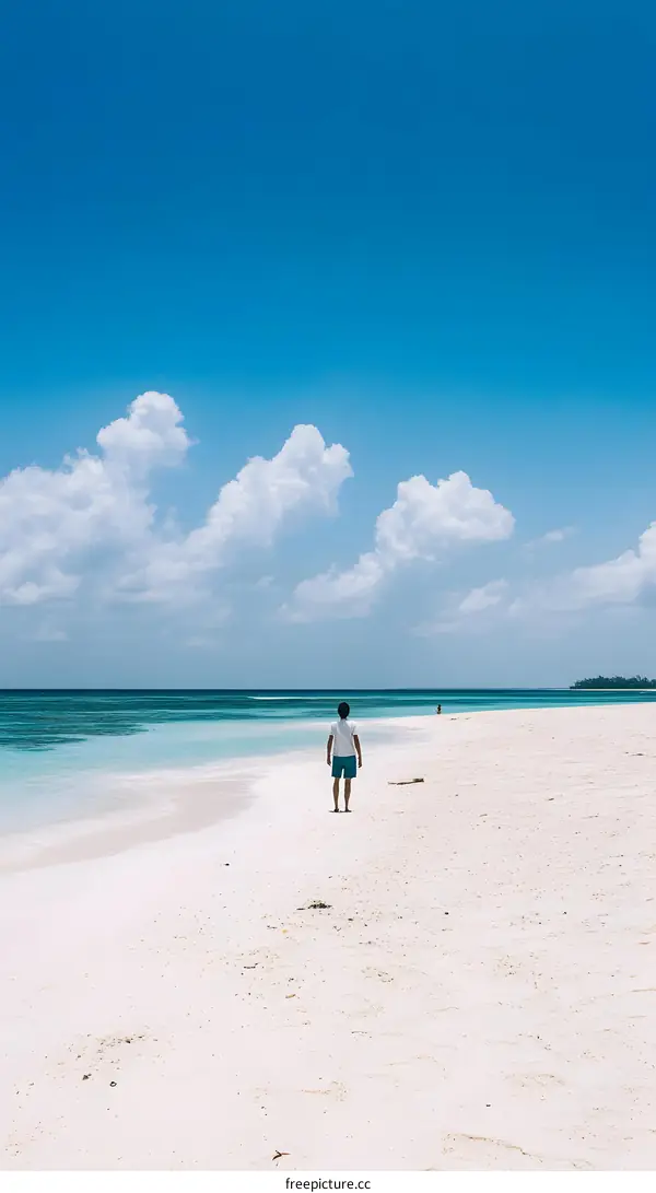 Man Walking on a White Sand Beach with Blue Sky