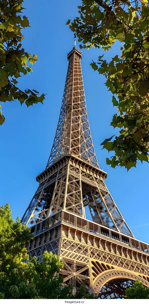 Eiffel Tower from below with trees in the foreground