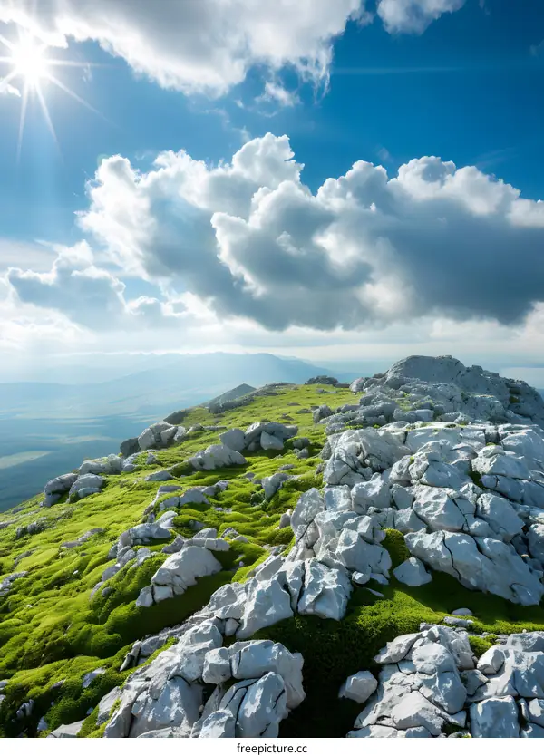 Sunny Day in the Mountain with Green Grass and Rocks