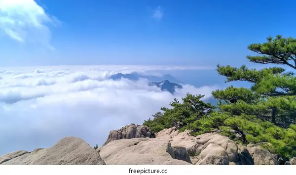 High Altitude Mountain View Above the Clouds