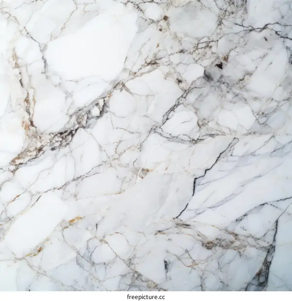 White marble texture with grey and gold veins