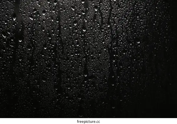 Water Droplets on a Dark Surface