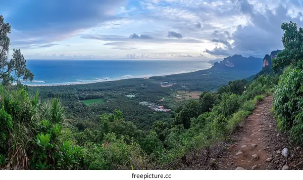 Coastal View from a Mountaintop