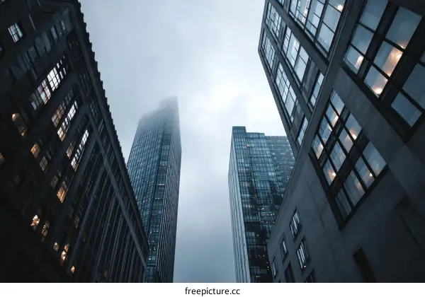 Modern Skyscrapers in a City Skyline