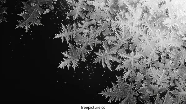 Abstract Frost Patterns on Glass