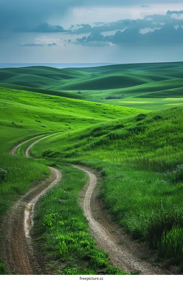 Countryside Road through Verdant Hills