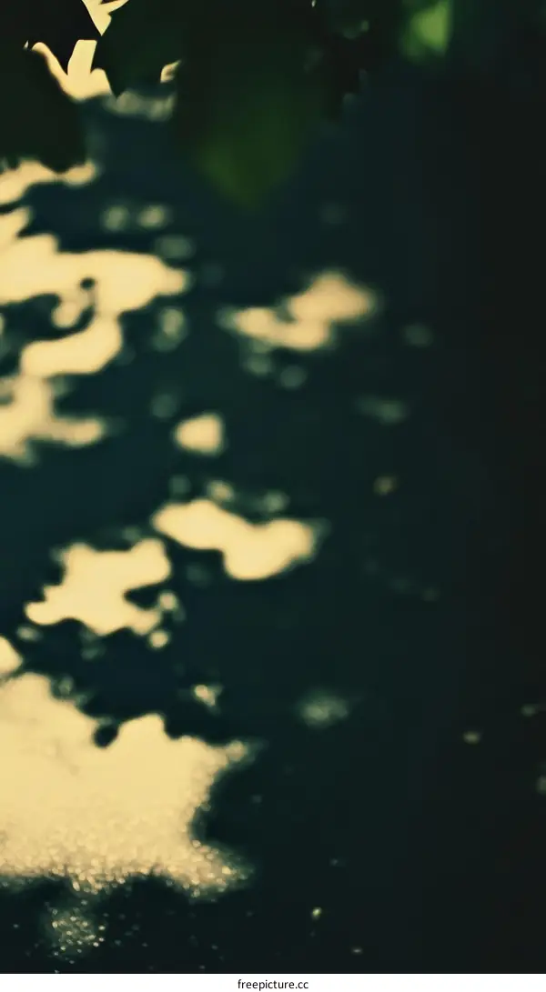 Abstract Shadows of Leaves on a Surface