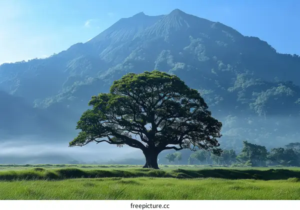 Majestic Tree and Mountain Landscape