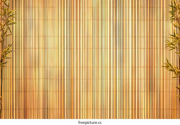 Natural Bamboo Texture Background with Plants