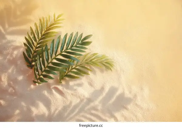 Tropical Leaves on Light Beige Sand Background