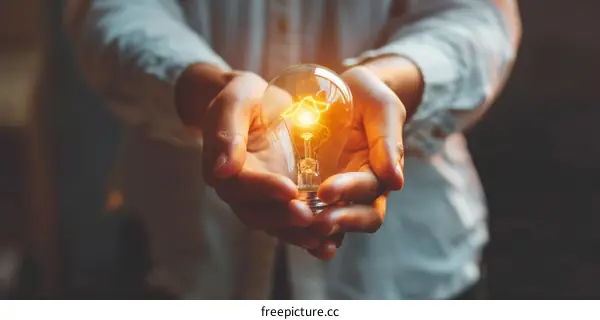 Light bulb in hand representing a new idea or innovation
