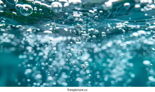 Close-up of Bubbles Rising in a Glass of Water