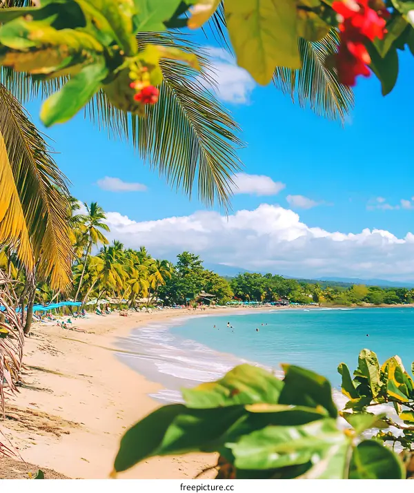 Tropical Beach with Palm Trees and Clear Blue Water