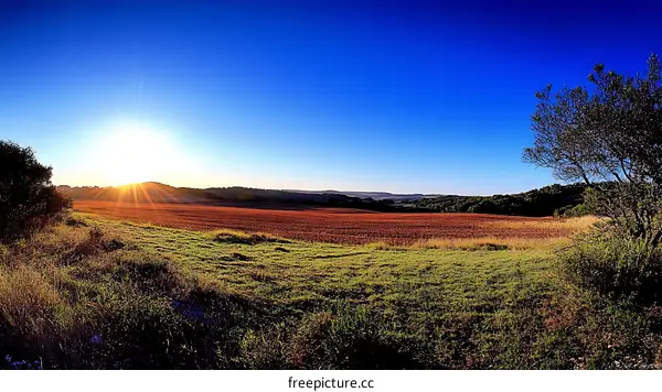 Sunset over a harvested field