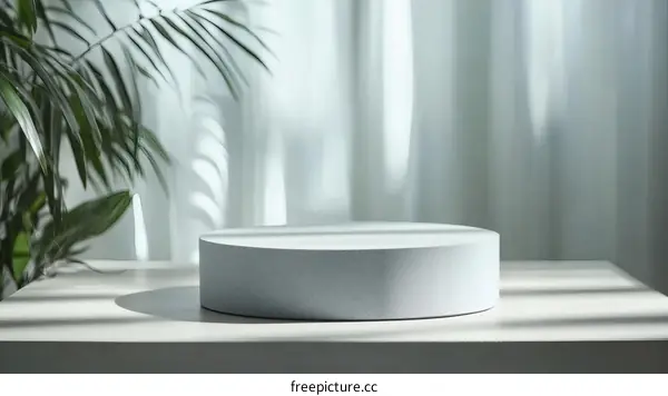 Modern Minimalist Product Display Platform