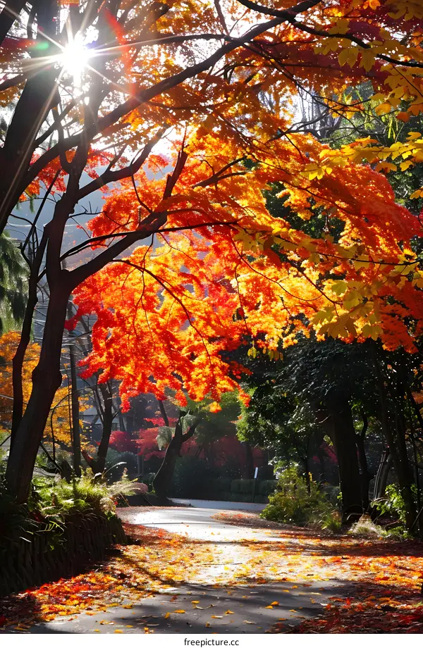 Autumn Path Through Sunlit Forest With Bright Red Leaves