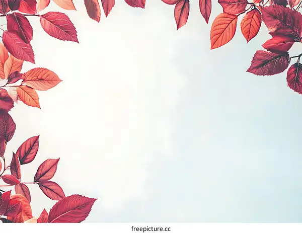 Red Autumn Leaves Frame White Background