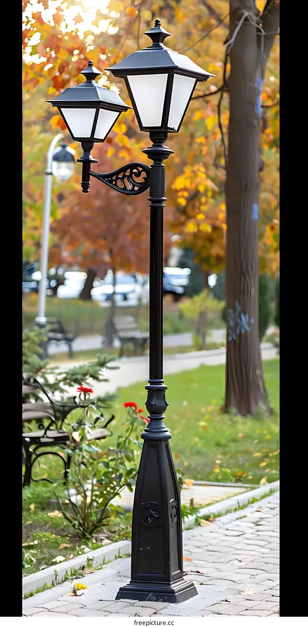 Black Street Lamp with Ornamental Details in a Park Setting