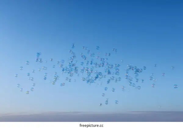 Floating Soap Bubbles in a Bright Blue Sky