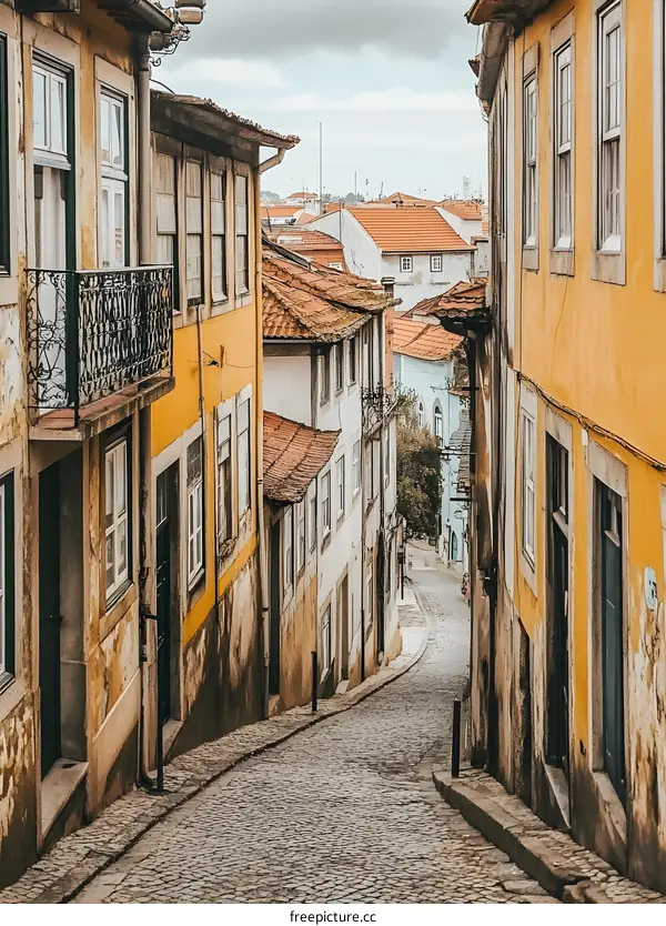 Cobblestone Street in European City