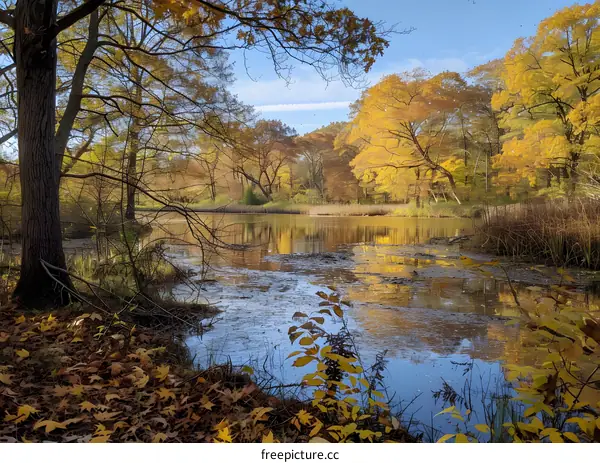 Autumn Tranquility on the Lake
