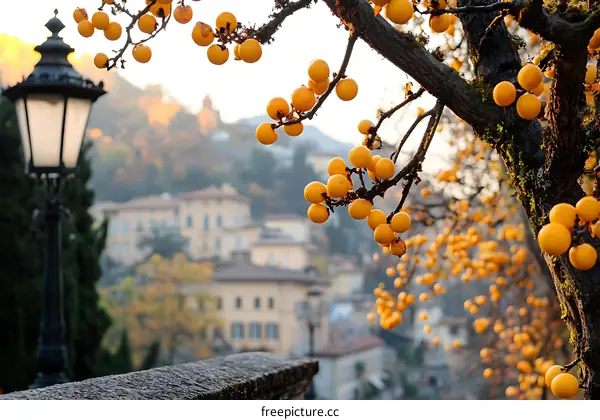 Yellow Fruits on Tree Branch with Cityscape Background