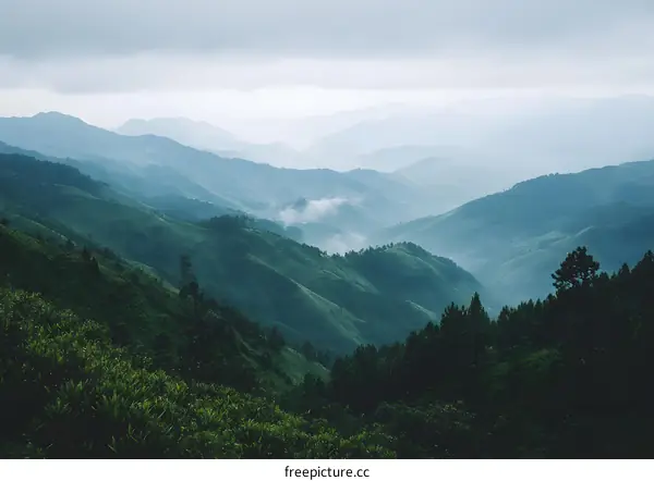 Green Mountains Landscape with Fog and Clouds
