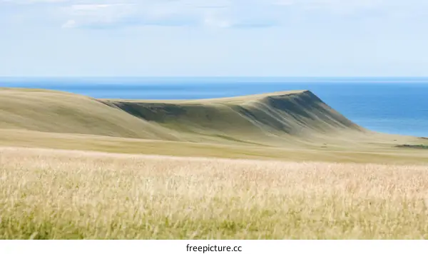 Coastal Plain Landscape View of the Ocean