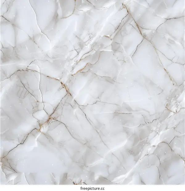 white marble texture background
