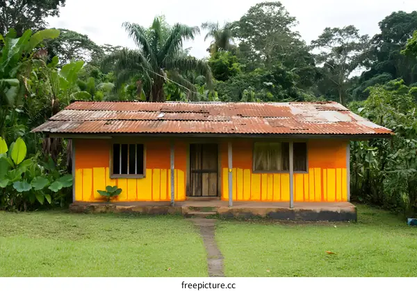 Small Yellow House in the Jungle