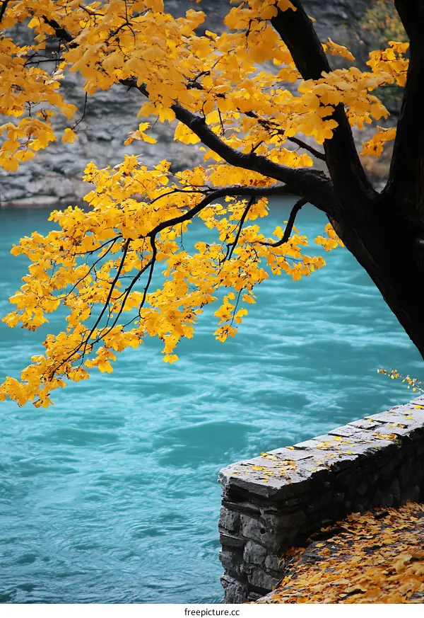 Autumn Leaves Over Blue Water