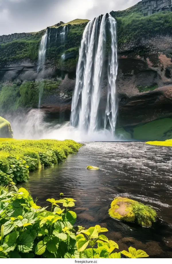 Waterfall in a valley with green plants in the foreground