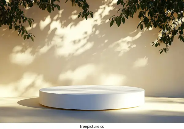 Minimalist White Display Podium with Natural Light