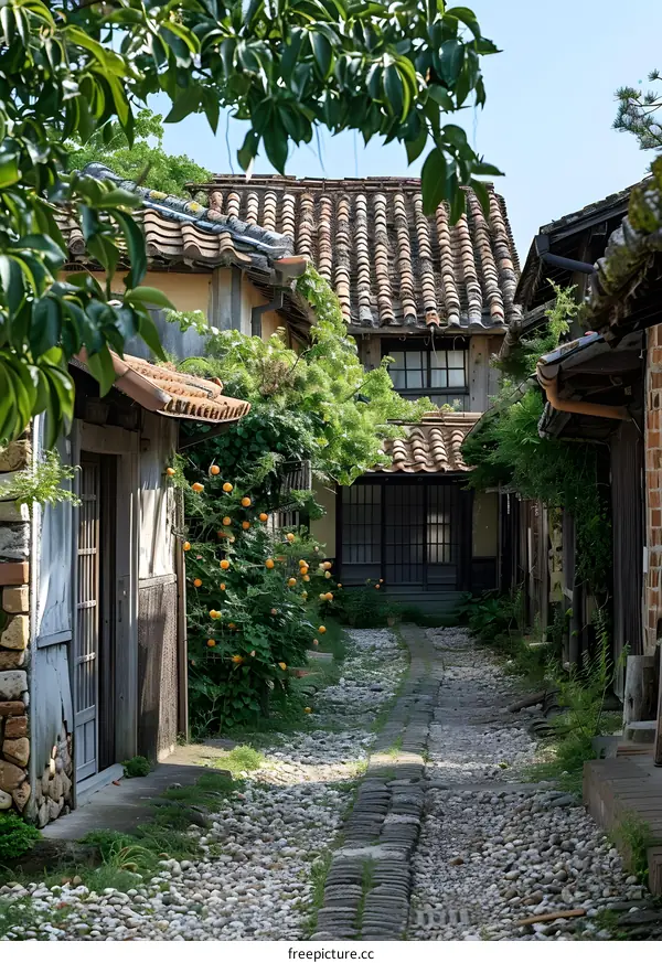 A narrow alleyway in a Japanese town