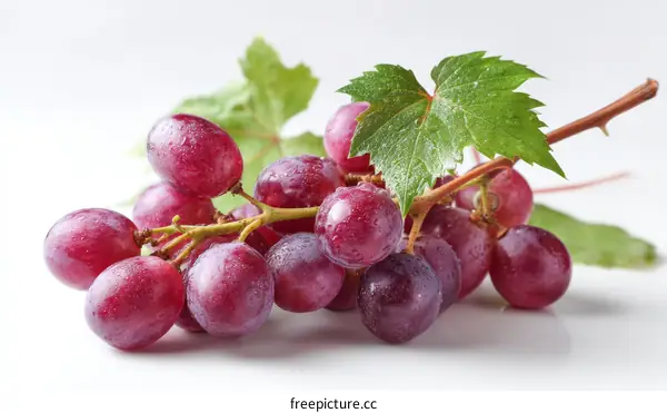 Closeup of a Cluster of Fresh Red Grapes
