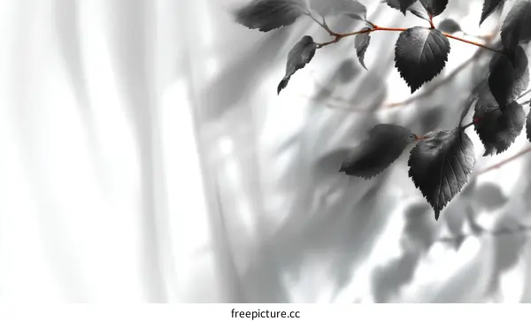 Elegant Black Leaves on a White Background