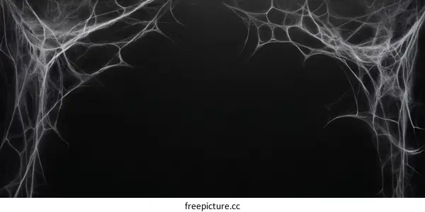 Spooky Spider Webs on Dark Background
