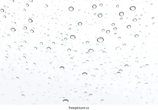 Water Droplets on a Clear Surface