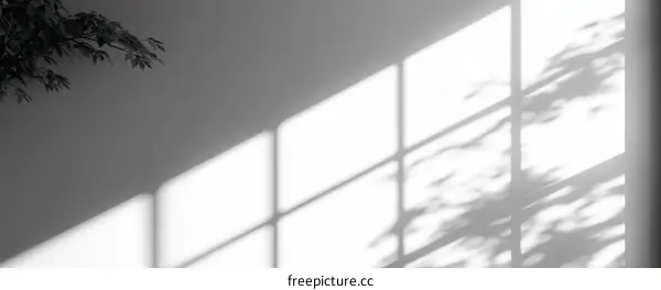 Shadow Play on a Light Grey Wall