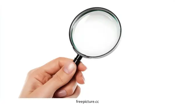 Hand Holding Magnifying Glass on White Background