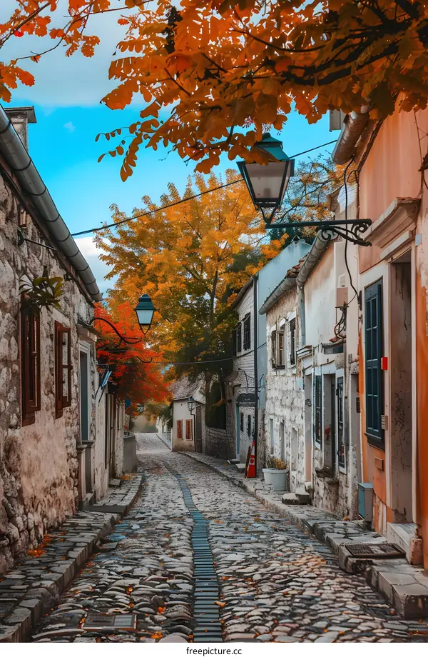 Cobblestone Street in Autumnal European Village