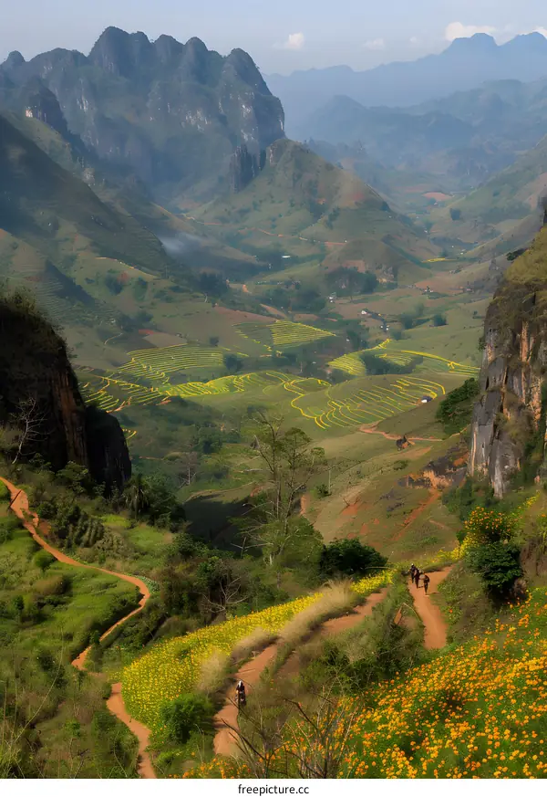 Mountainous Landscape with Winding Dirt Road and Fields of Yellow Flowers
