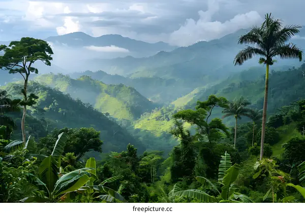A lush green landscape with mountains in the distance