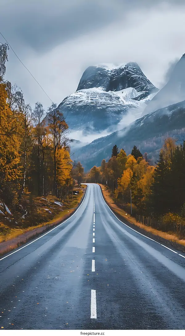 Empty Road Through Autumn Forest and Snowy Mountains