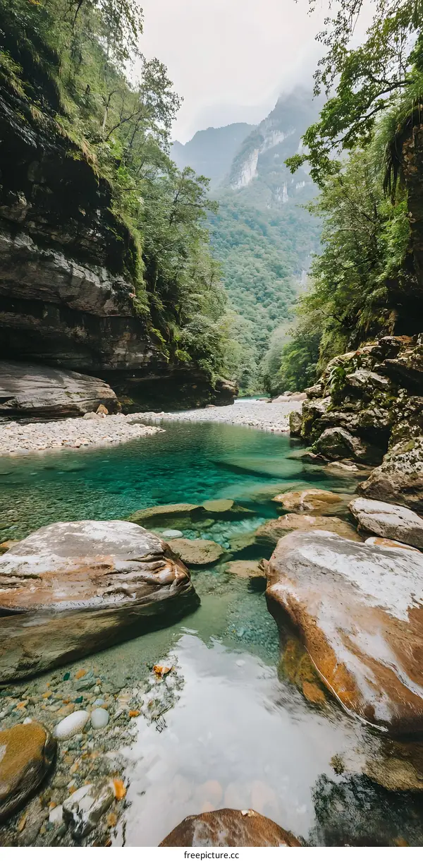 Mountain River with Clear Water and Rocks