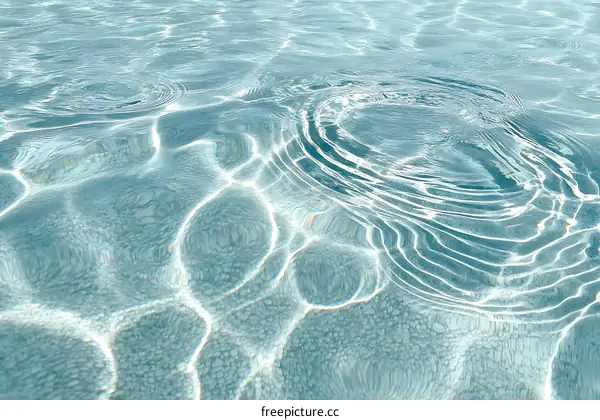 Close Up View of Rippled Water Surface