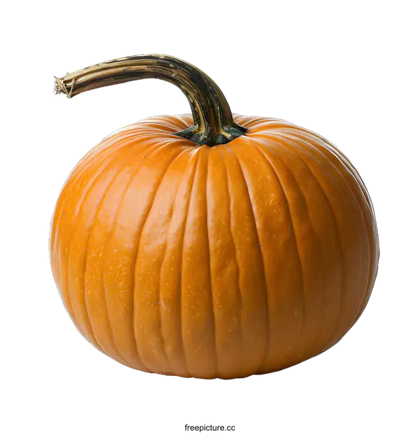 [Transparent Background PNG]Single Orange Pumpkin Isolated On White Background