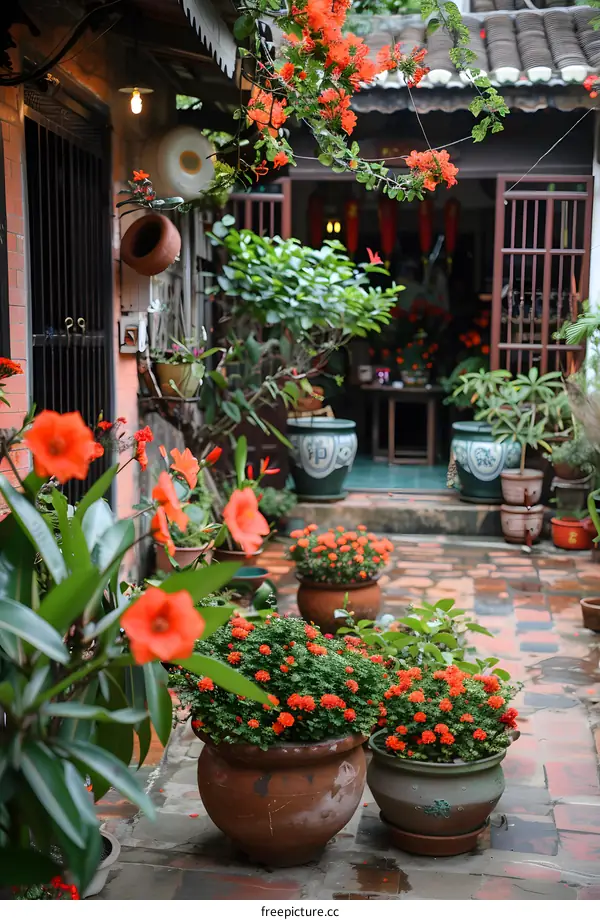 A courtyard garden in bloom