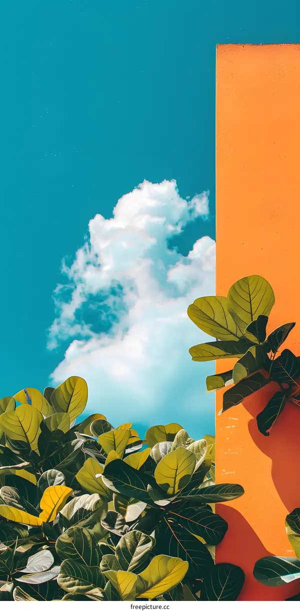 Green Leaves Against Bright Blue Sky and Orange Wall